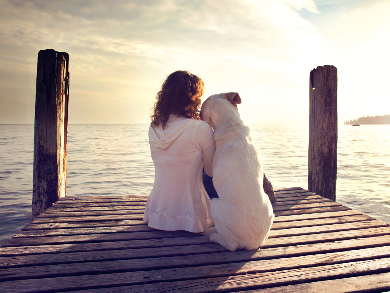 Mindfulness e relazione con gli animali