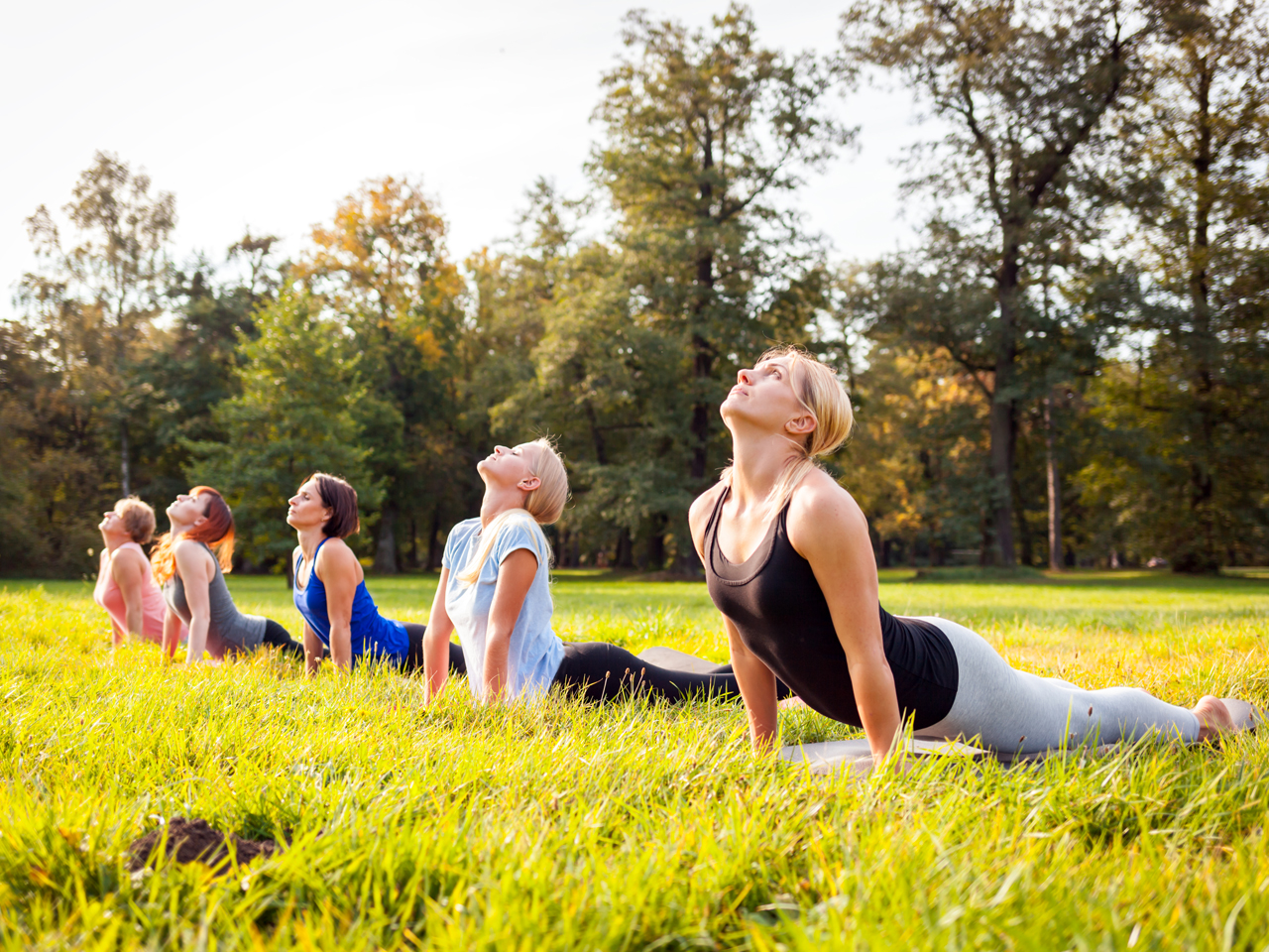 Mindfulness e relazione con gli animali