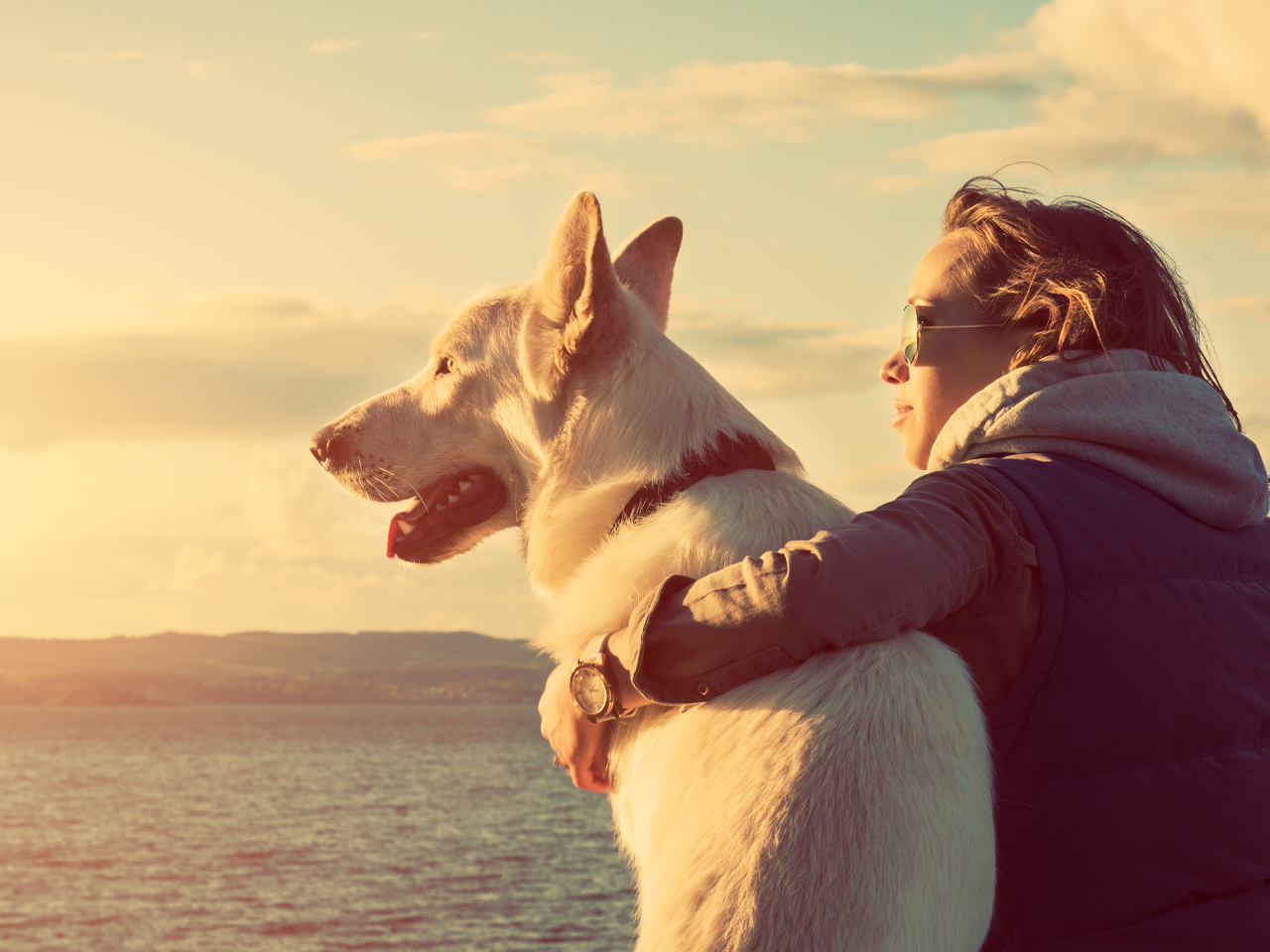 Mindfulness e relazione con gli animali