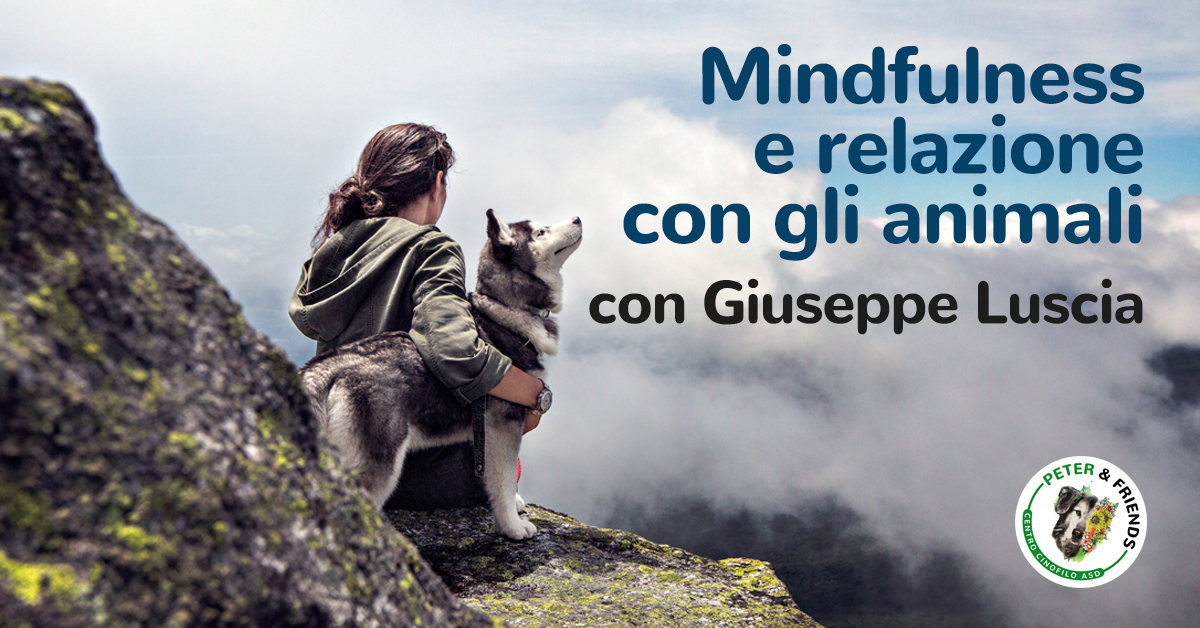 Mindfulness e relazione con gli animali