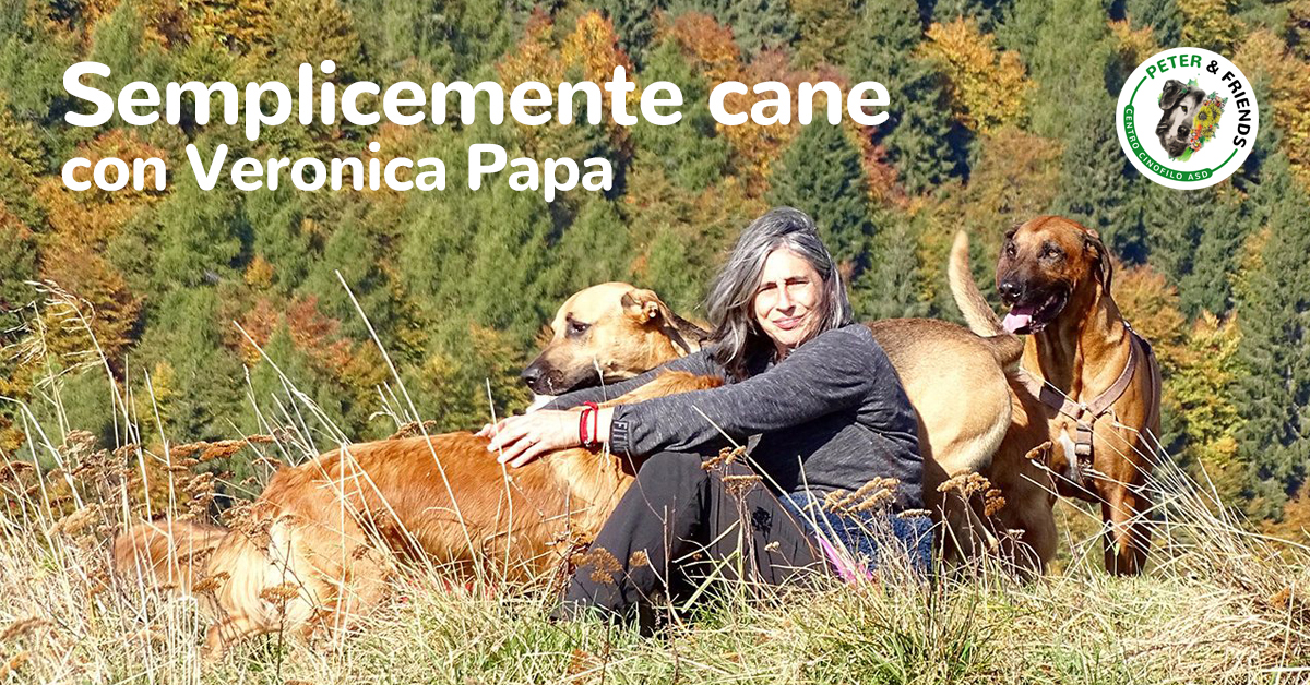 Semplicemente cane