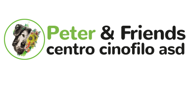 Peter & Friends