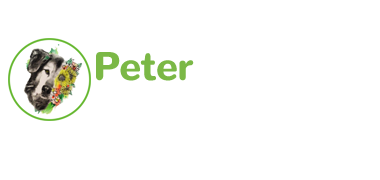 Peter & Friends