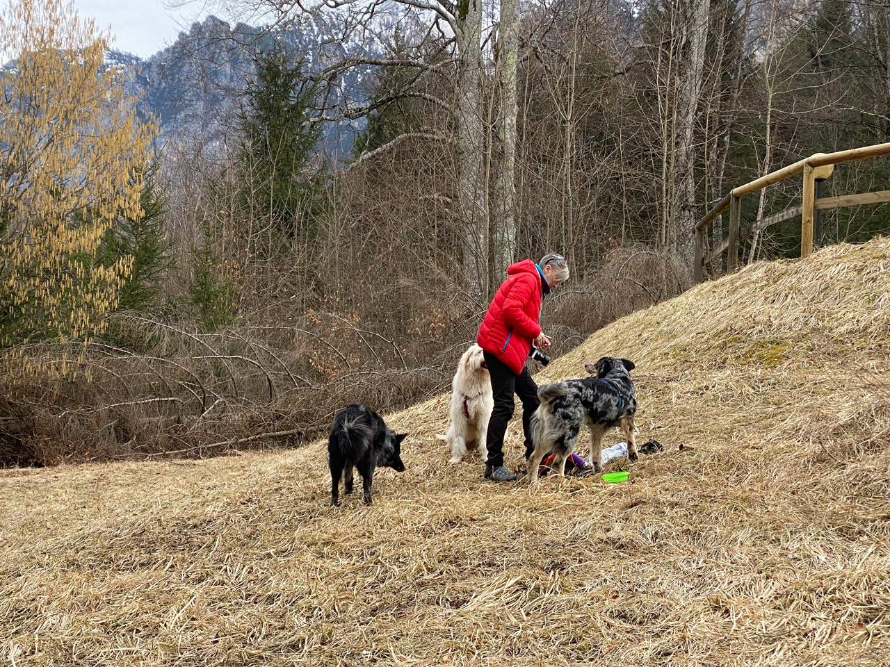 Naturalmente cane