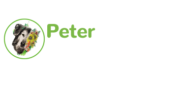 Peter & Friends