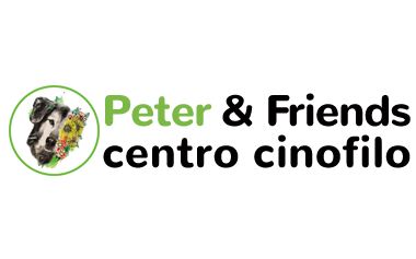 Peter & Friends