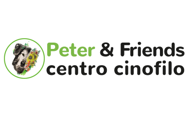 Peter & Friends