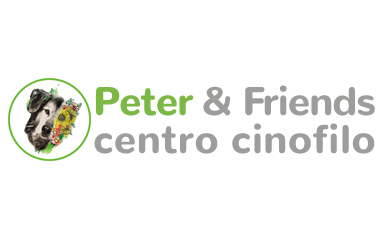 Peter & Friends