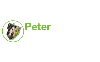 Peter & Friends